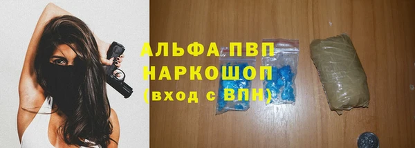 гашик Балахна