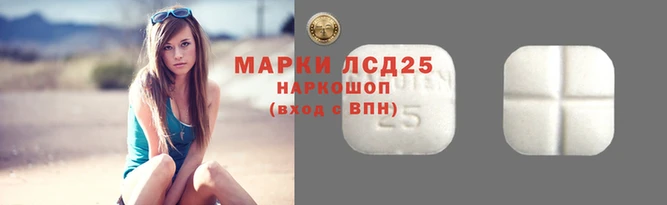 индика Снежинск