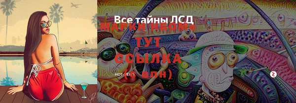 гашик Балахна