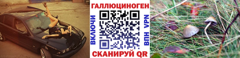Псилоцибиновые грибы Magic Shrooms  Петухово 